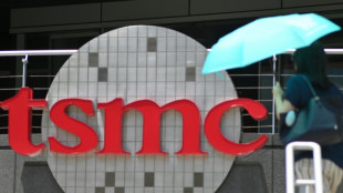 Taiwans Chip-Hersteller TSMC steigert Umsatz 2024 um ein Drittel