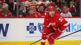 NHL: Seiders Red Wings beenden Negativserie