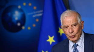 Irán pidió "ajustes" a la propuesta de la UE sobre su programa nuclear, dice Borrell