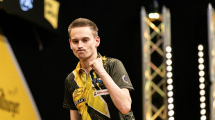 Darts-EM: Pietreczko scheitert an van Gerwen