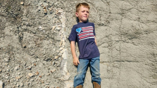 'Pretty cool': US kids discover remains of teen T-Rex