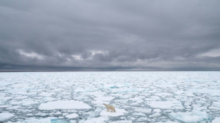 World's sea ice cover hits record low in February