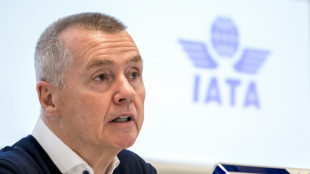 Airlines chief says jet manufacturers need to deliver