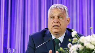 Primer ministro húngaro anuncia que desea formar nuevo grupo parlamentario europeo