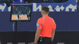 VAR: DFB-Schiedsrichter bereiten sich auf Stadionansagen vor