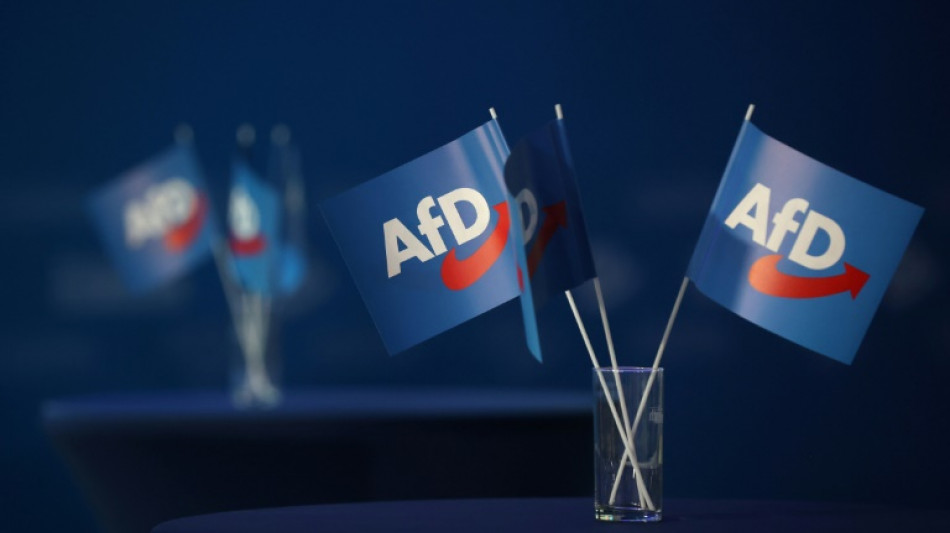 AfD-nahe Stiftung verlangt Förderung des Bundes
