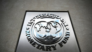 FMI confirma sua previsão de crescimento mundial para 2024 a 3,2%