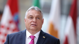 Orban visita Ucrania por primera vez desde el inicio de la guerra, pese a las tensiones