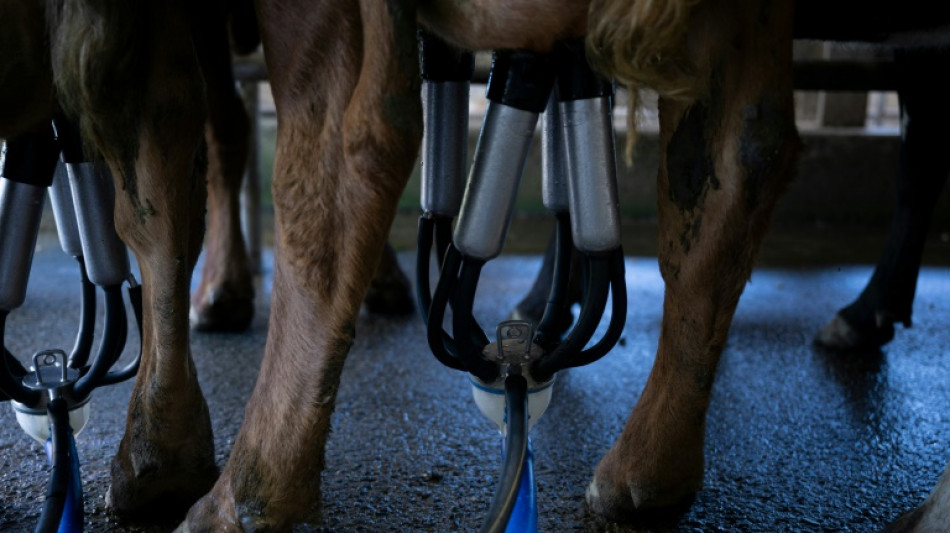 Erzeugerpreise für landwirtschaftliche Produkte im Dezember weiter leicht gesunken