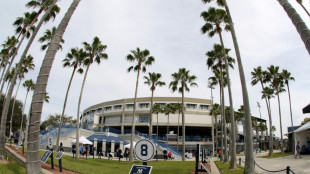 MLB Rays to play 2025 season at Yankees facility in Tampa