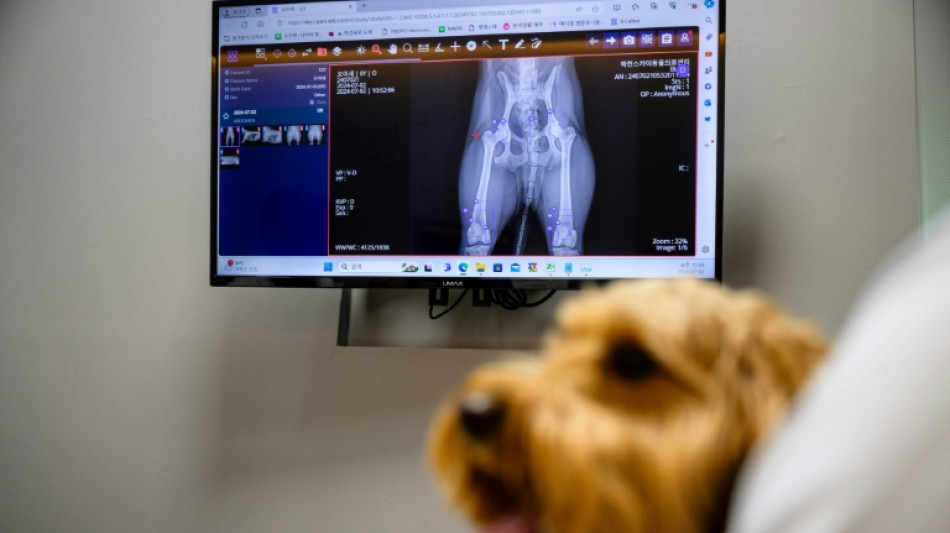 Veterinarios recurren a la inteligencia artificial para atender mascotas en Corea del Sur