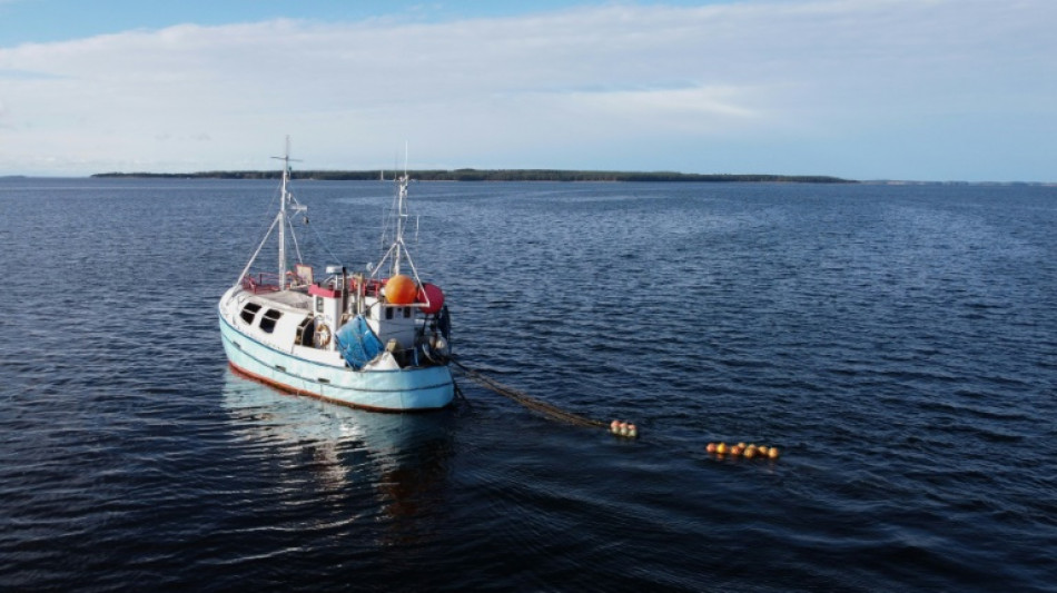 Océans : réoxygéner la mer Baltique, le pari pionnier de start-up et de scientifiques  