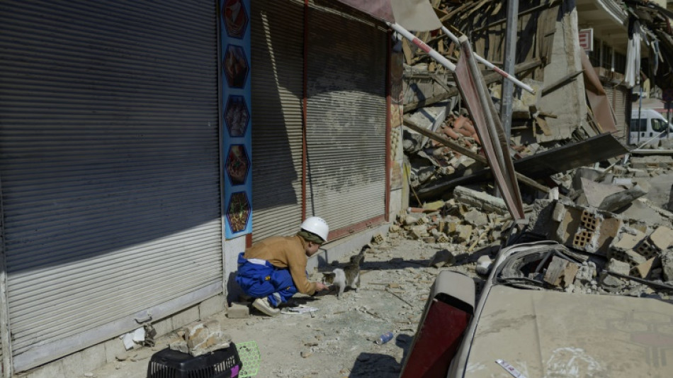 Entre ruinas en una ciudad turca, sus habitantes se consuelan salvando animales