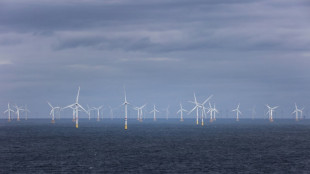 Ostsee-Anrainer kündigen massiven Ausbau von Offshore-Windenergie an