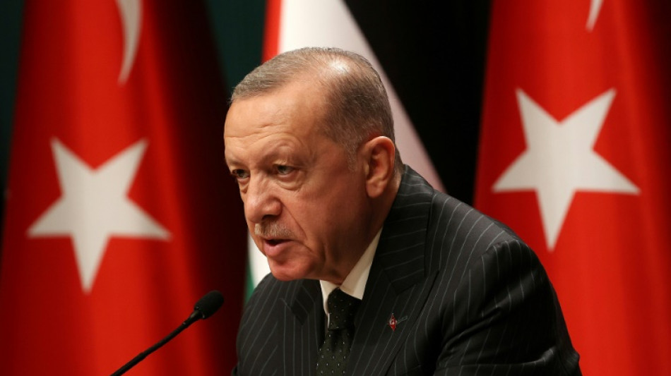 Erdogan acusa a la UE de la crisis energética por sancionar a Rusia