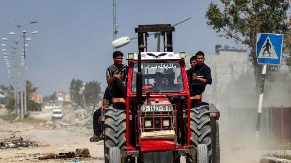 O setor agrícola de Gaza, arrasado pela guerra