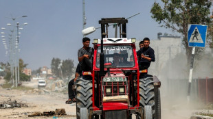 O setor agrícola de Gaza, arrasado pela guerra