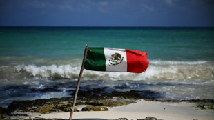 México se alista para declarar área natural protegida unos terrenos de una minera de EEUU
