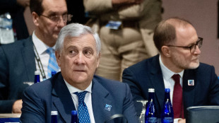 Tajani, a guerra finita si accelererà su adesione Kiev a Nato