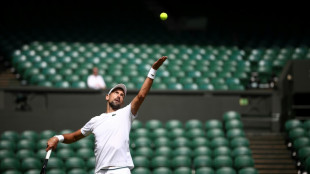 Inscrito en el sorteo, Novak Djokovic jugará el torneo de Wimbledon 
