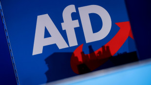 AfD gegen Verfassungsschutz: Mündliche Verhandlung vor OVG auf März verschoben