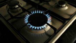 UK gas reserves 'concerningly low': Biggest supplier