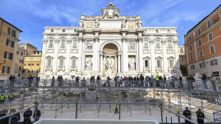 Media Usa, 'Fontana di Trevi? ora c'è una piscina comunale'