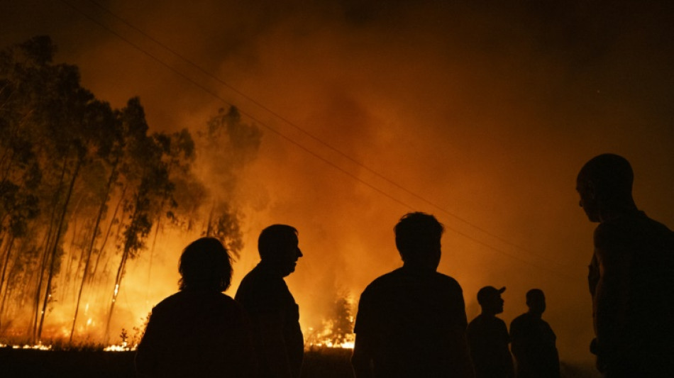 Portugal tackles last of deadly northern forest fires