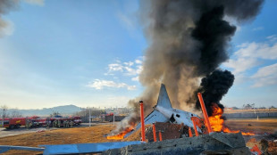 Flugzeug mit 181 Menschen an Bord stürzt in Südkorea ab - Mindestens 47 Tote