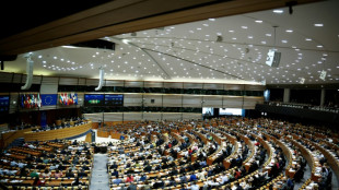 Le grand oral de Séjourné face aux eurodéputés 