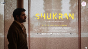 Al cinema Shukran, storia di un medico e un bambino in guerra