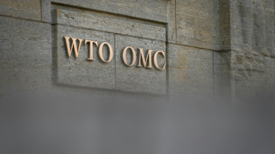 WTO-Ministertreffen in Genf von Krieg und Krisen überschattet