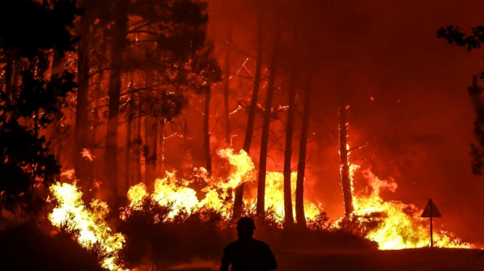 Firefighters battle blazes in southeast France