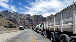 Covid tests spark Argentine supply chain fears over border queues