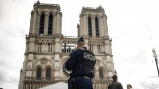 Trovato sarcofago a Notre-Dame, 'è del poeta Du Bellay'