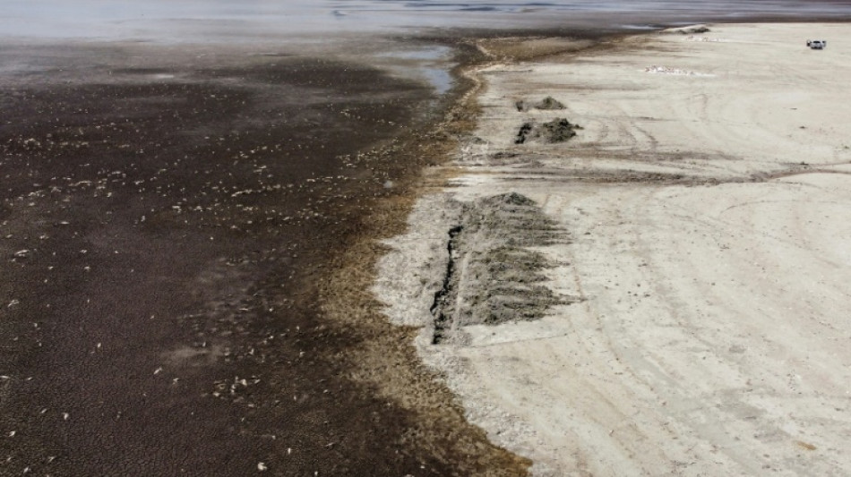 Mueren miles de peces en una laguna afectada por la sequía en el norte de México