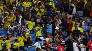 Nunez, Uruguay players brawl in stands with  fans after Copa loss