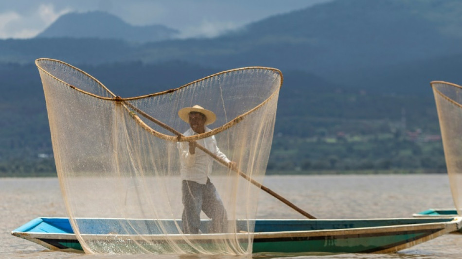 En México, rescatan al lago de Pátzcuaro con peces blancos y limpieza de manantiales