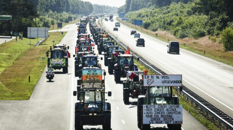 Dutch farmers protest livestock cuts to curb nitrogen