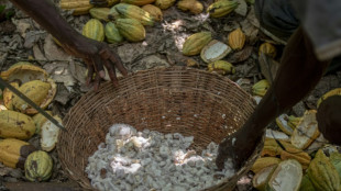 Ghana's cocoa farmers turn to smuggling as currency falls