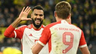 Bayern-Stürmer Choupo-Moting nicht beim Afrika-Cup dabei