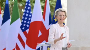 Von der Leyen, 'Meloni? Lavoro bene con tutti i leader G7'