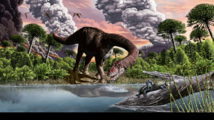 Faeces, vomit offer clues to how dinosaurs rose to rule Earth