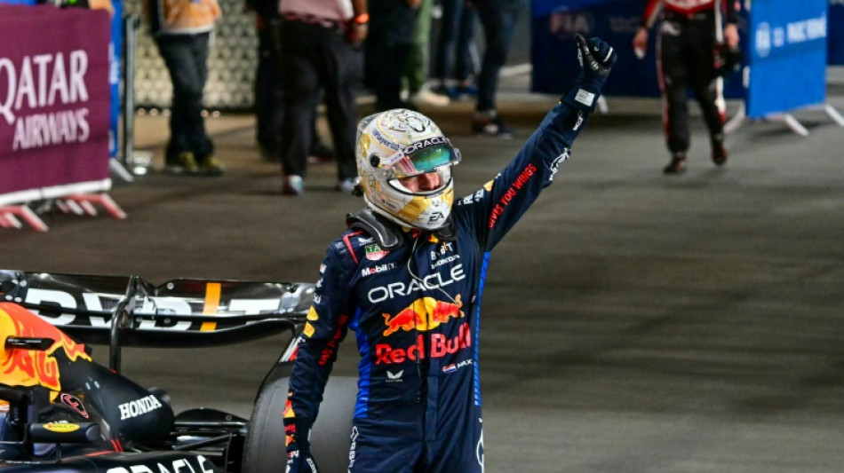 Champion Verstappen takes pole for Qatar Grand Prix