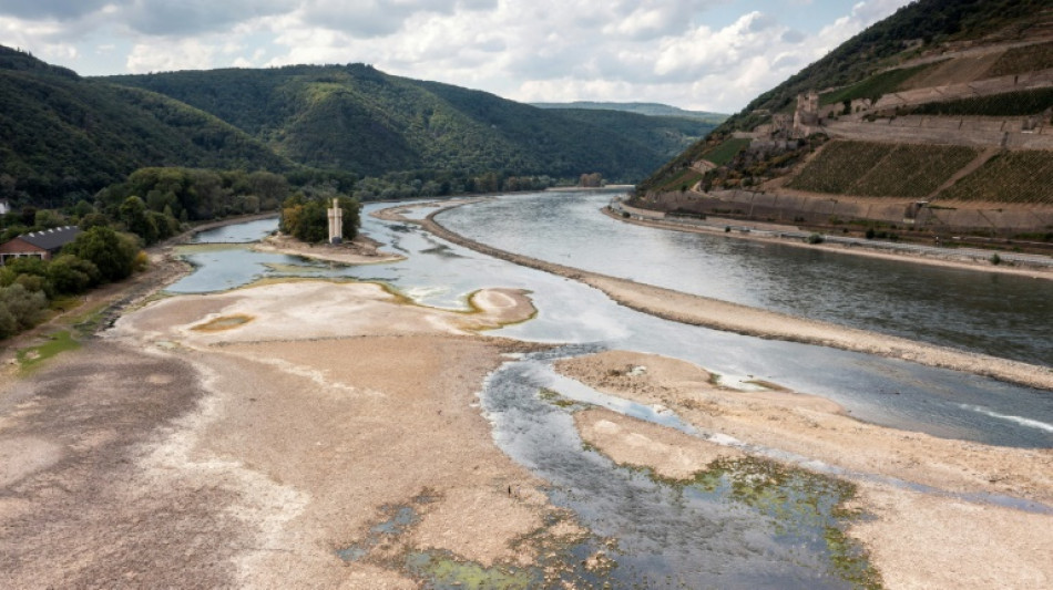 Credit Suisse erwartet wegen Rhein-Niedrigwasser höhere Inflation in der Schweiz