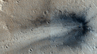 Marte recibe cada año el impacto de cientos de meteoritos 